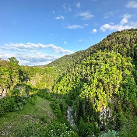 Green Mountain Borjomi Dış mekan fotoğraf