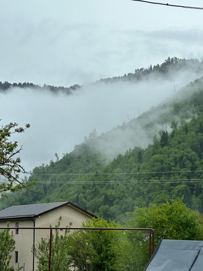 Green Mountain Borjomi Dış mekan fotoğraf