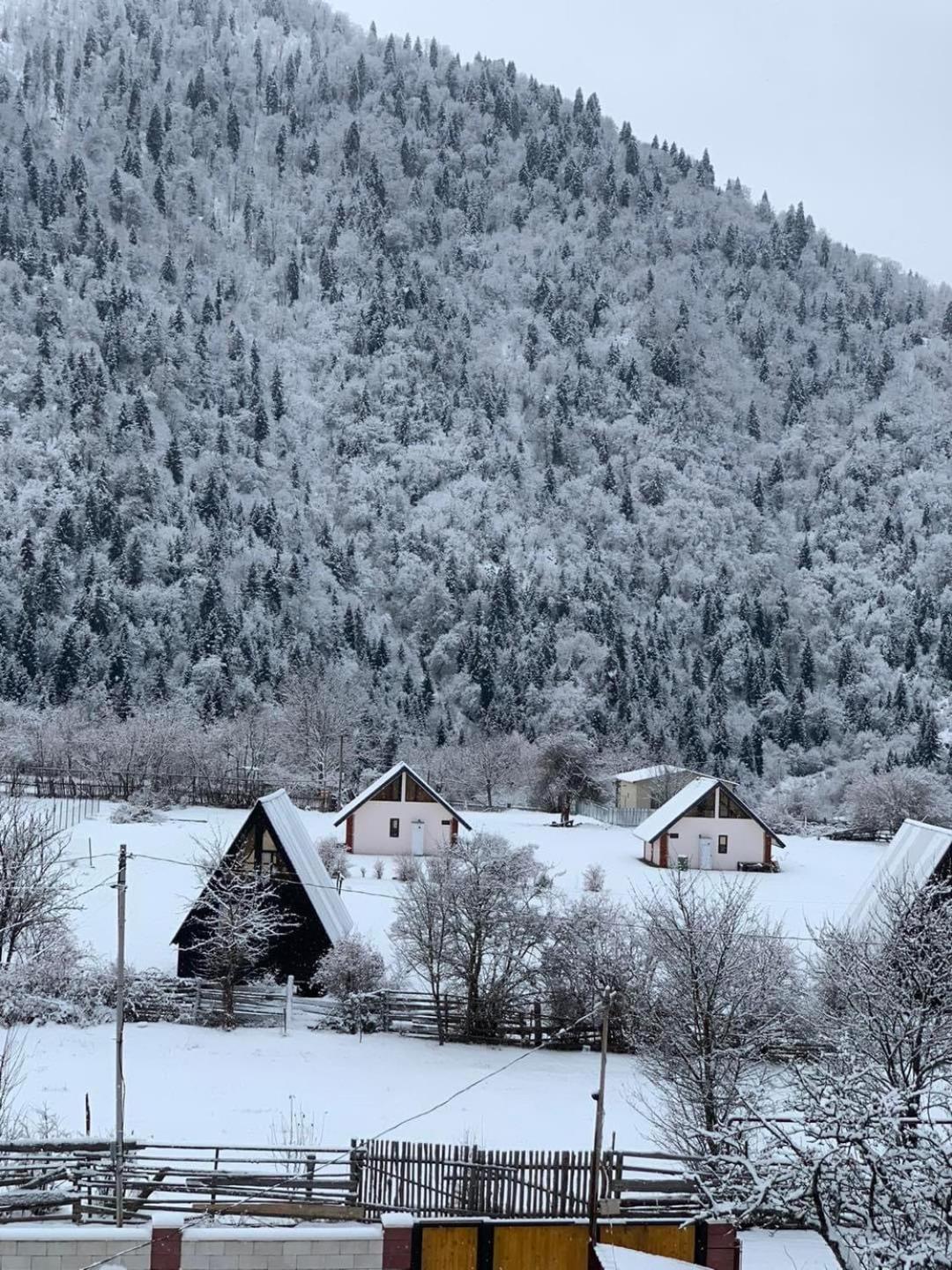 Green Mountain Borjomi Dış mekan fotoğraf