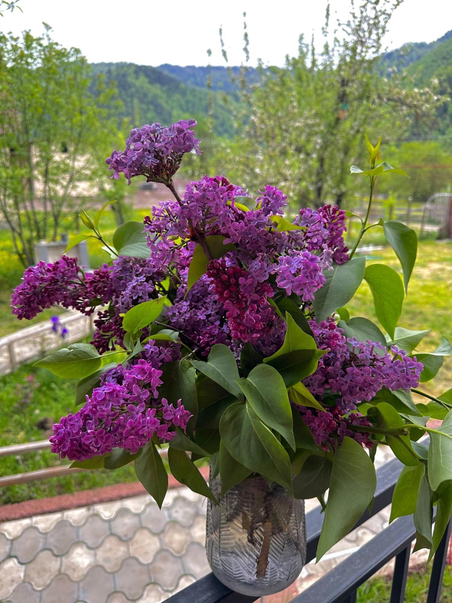 Green Mountain Borjomi Dış mekan fotoğraf